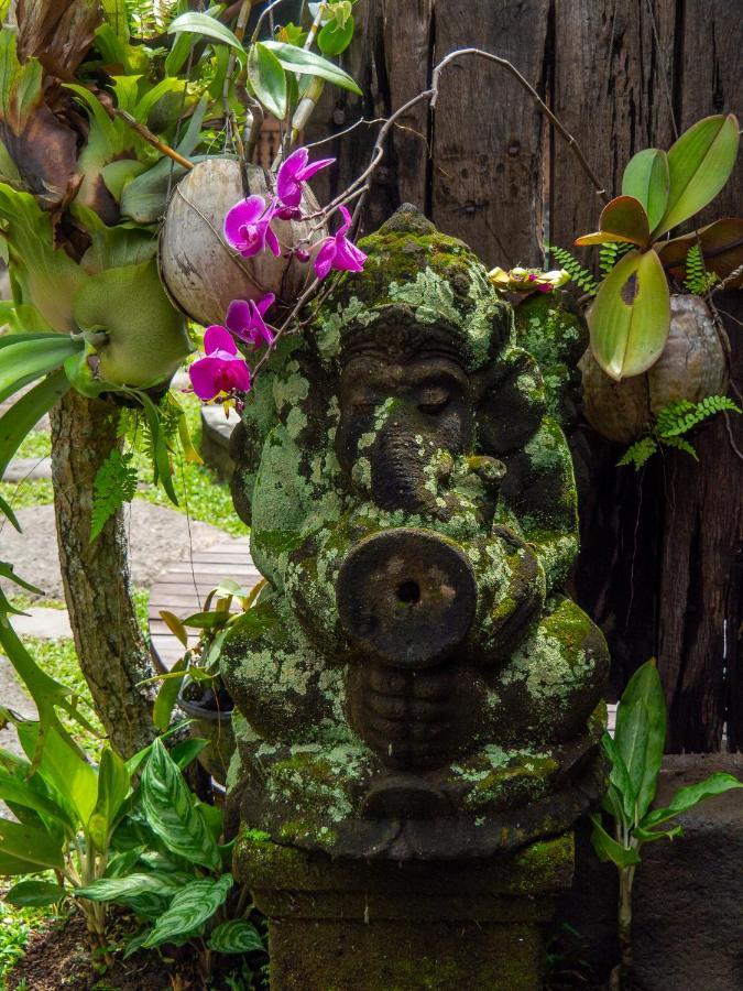 Homestay Kayu Batu Ubud (Bali)
