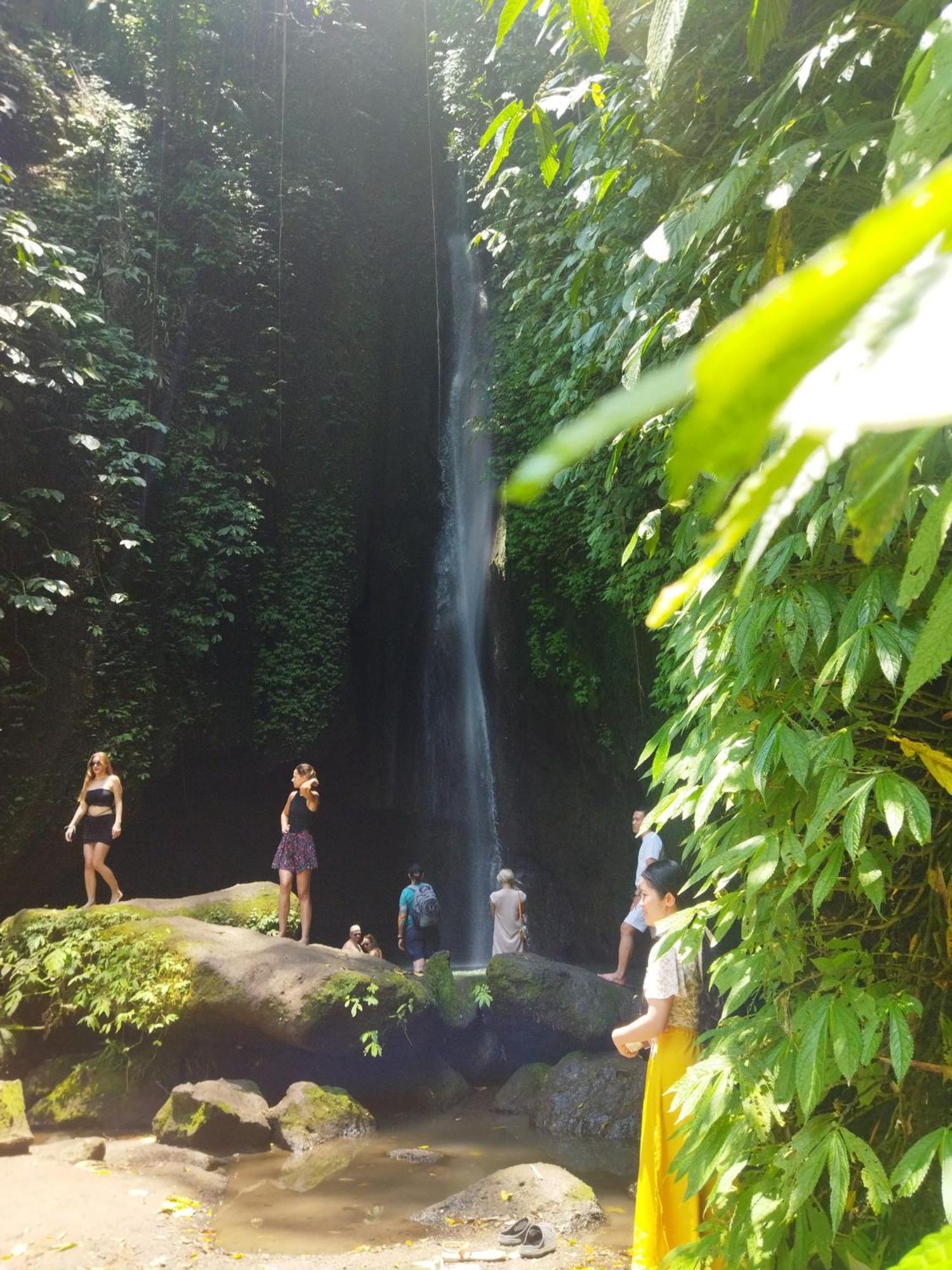Wahwik's House Ubud (Bali)