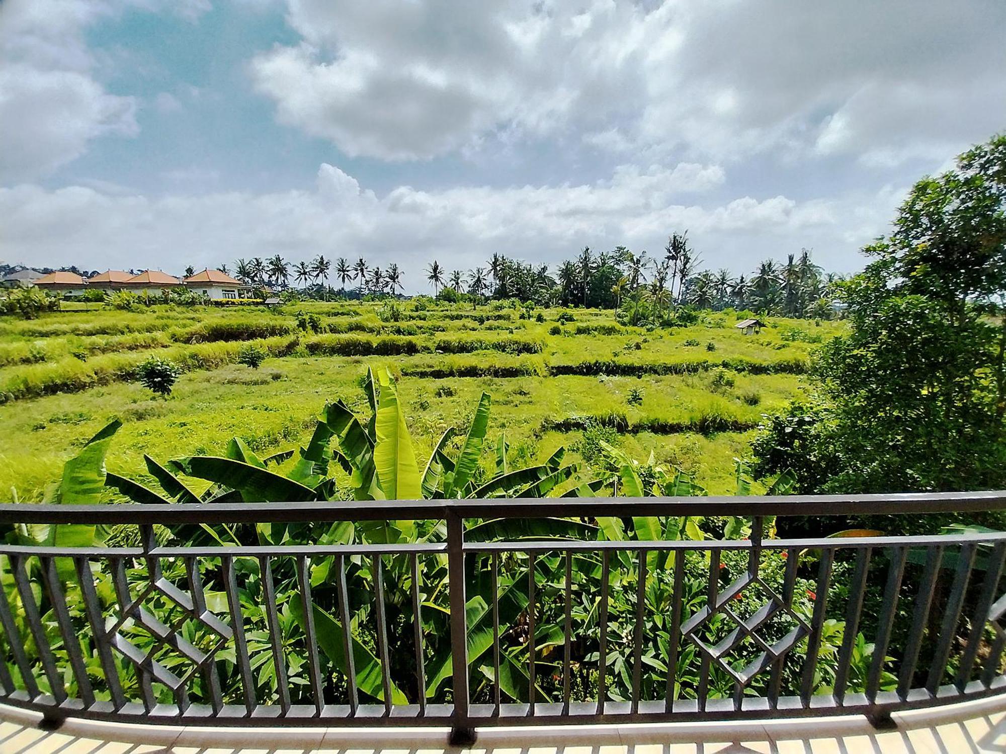 Puri Prana Casa de hóspedes Ubud