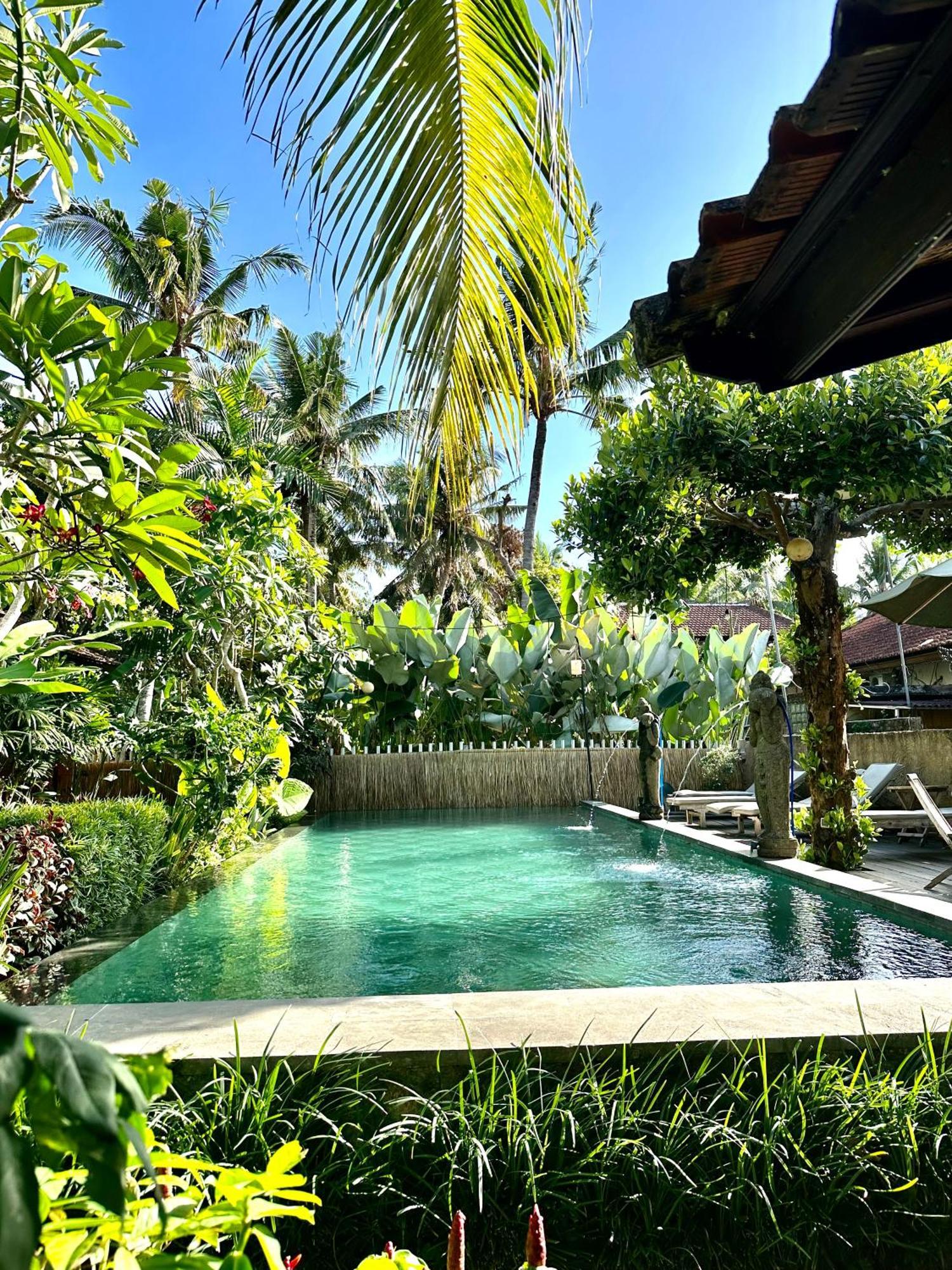 Kailash Bali