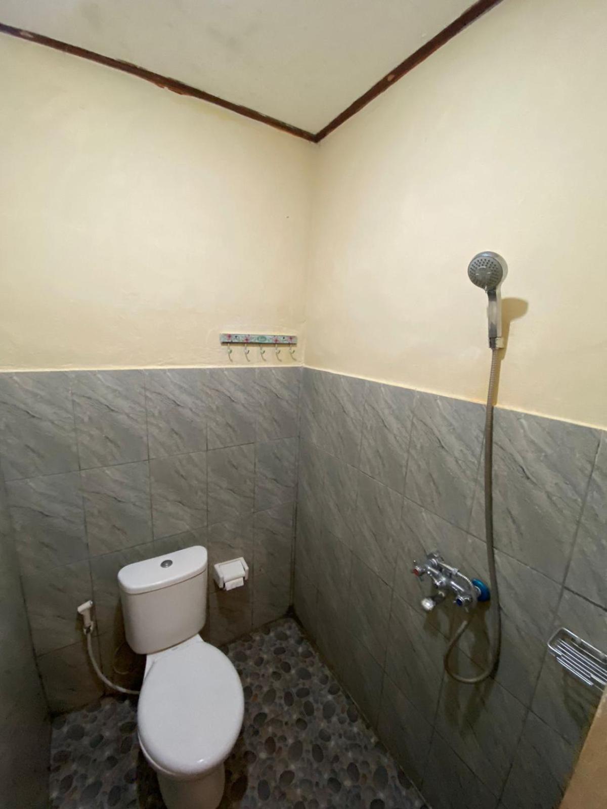 Malini Guest house *