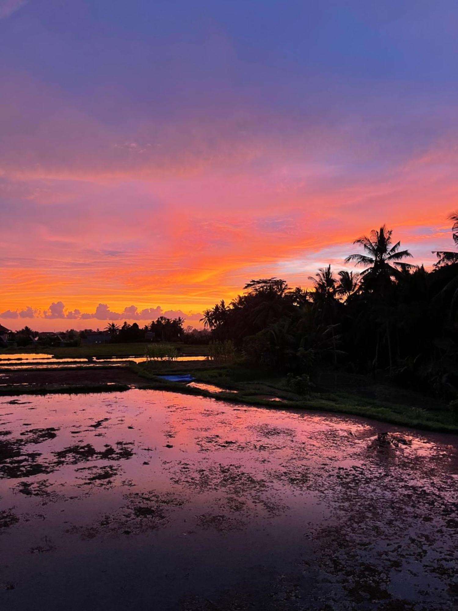 Luxe Bali * Ubud (Bali)