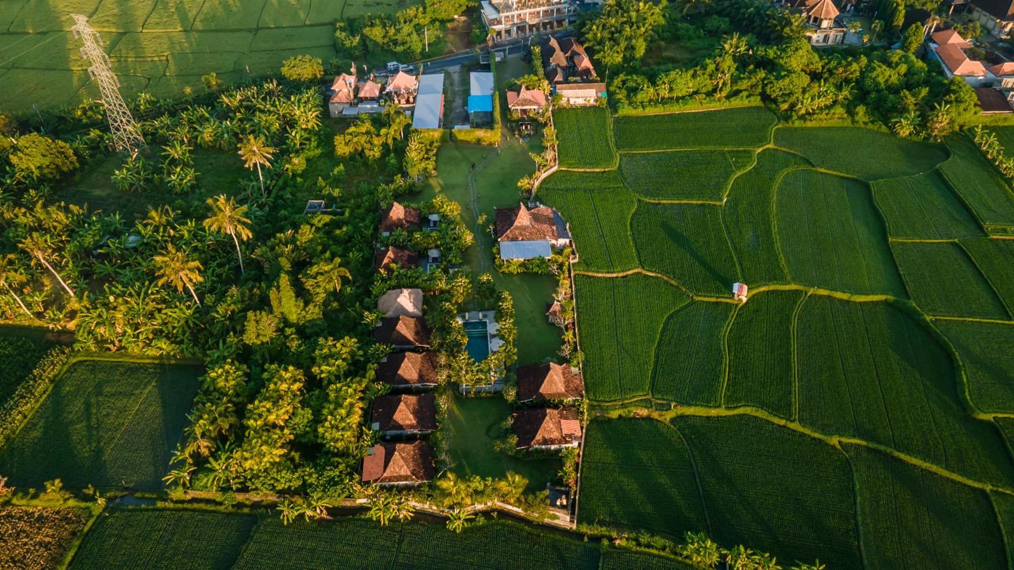 Aswanaya Resort