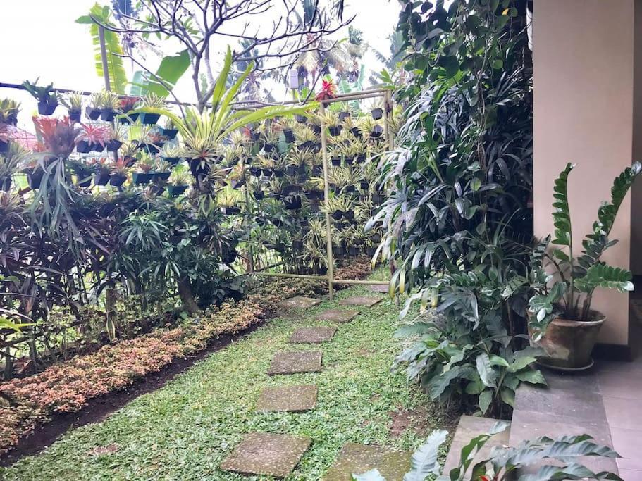 Rumah Taman Ubud