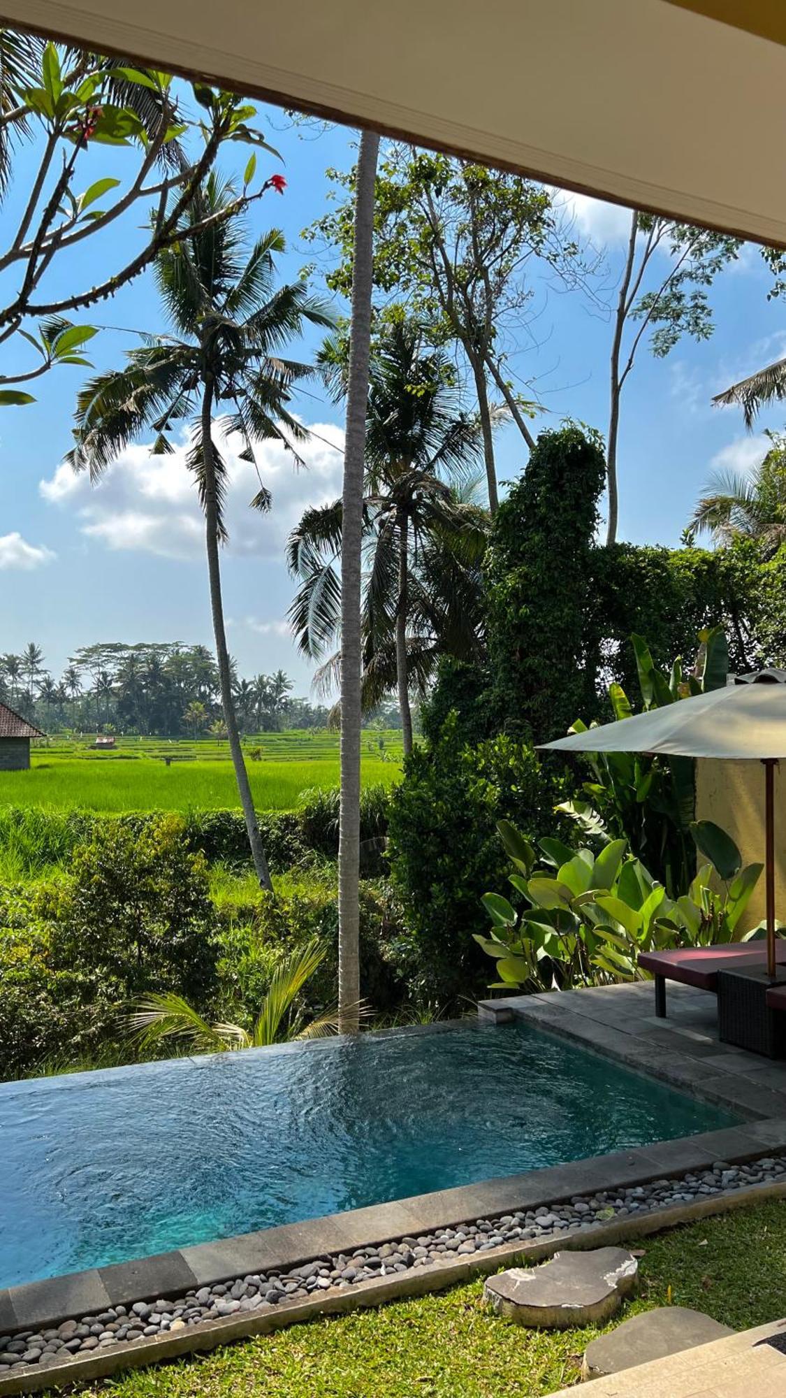 Kubu Bali Baik & - Chse Certified *