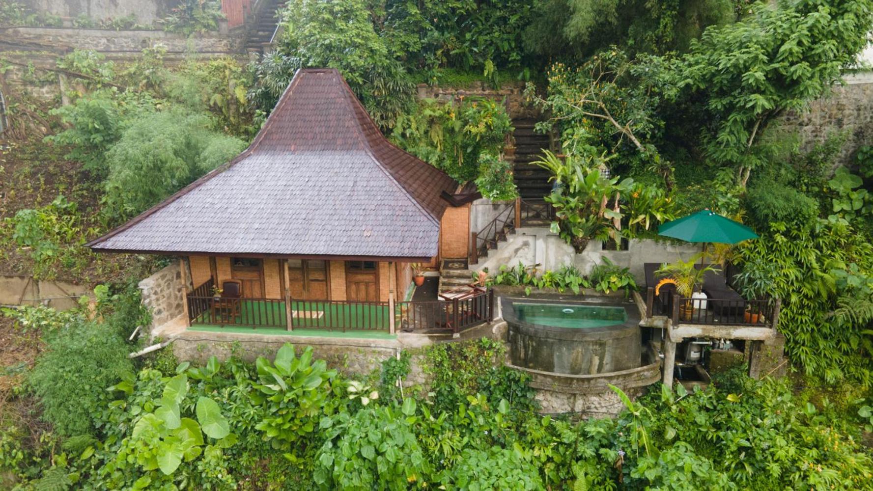 Awang - Awang Ubud (Bali)