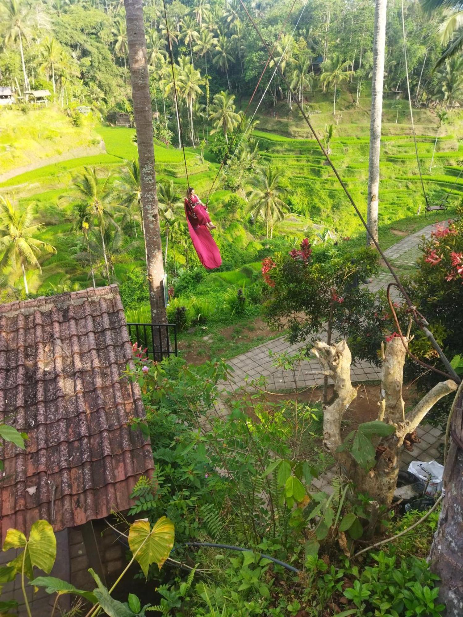 Guest house Wahwik's House