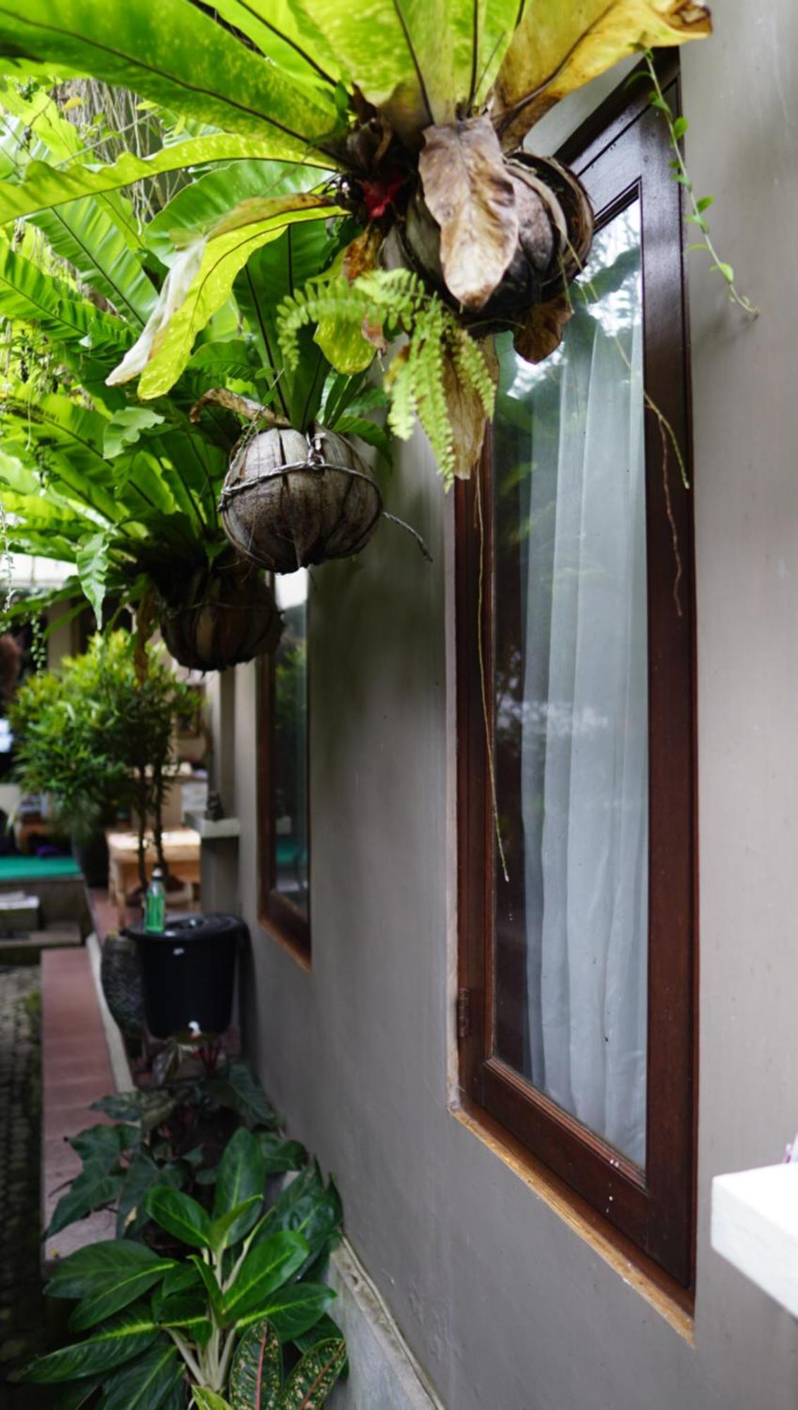 Wahwik's House Ubud (Bali)