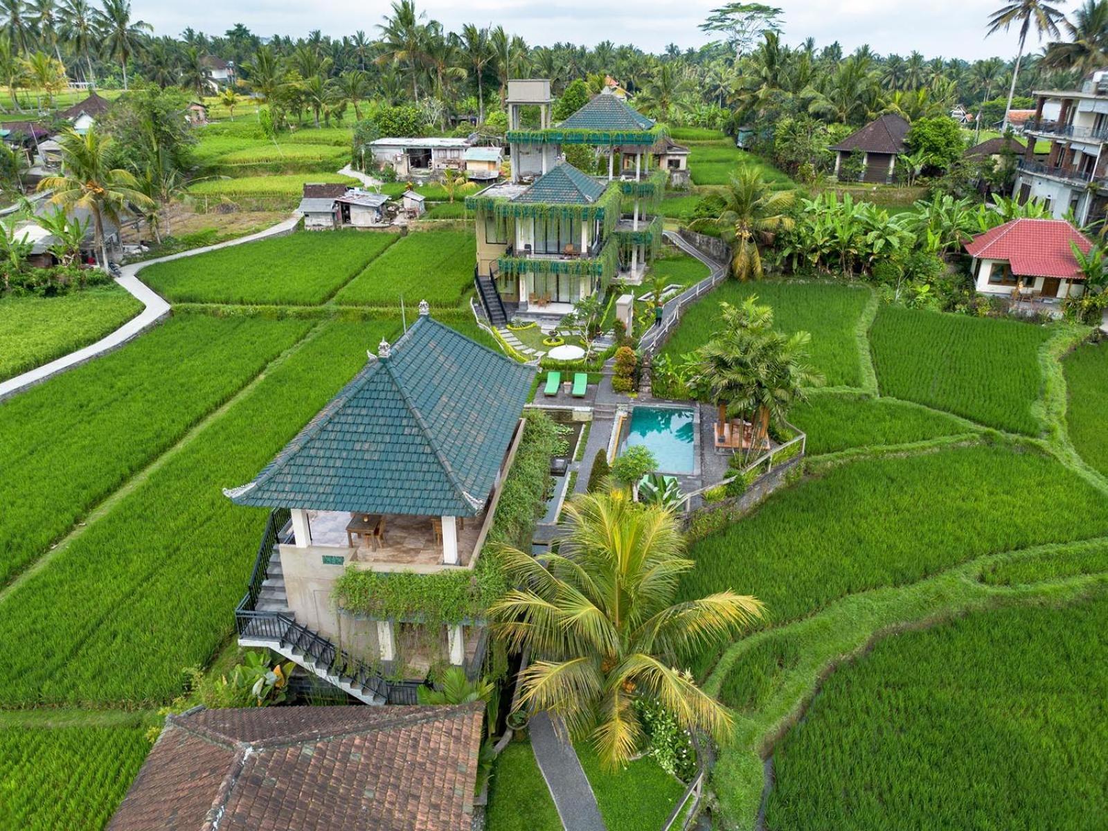 Cahaya *