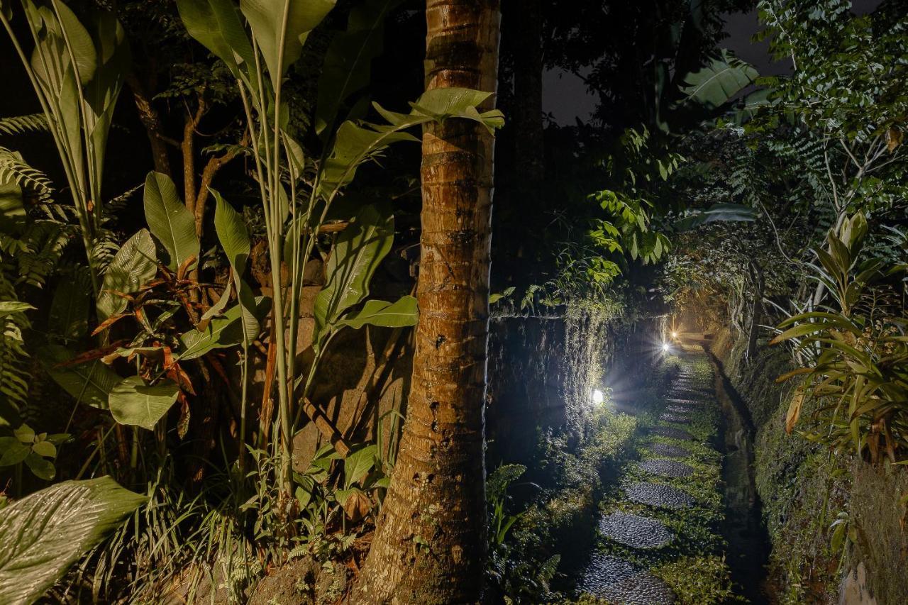 Moringa * Ubud (Bali)