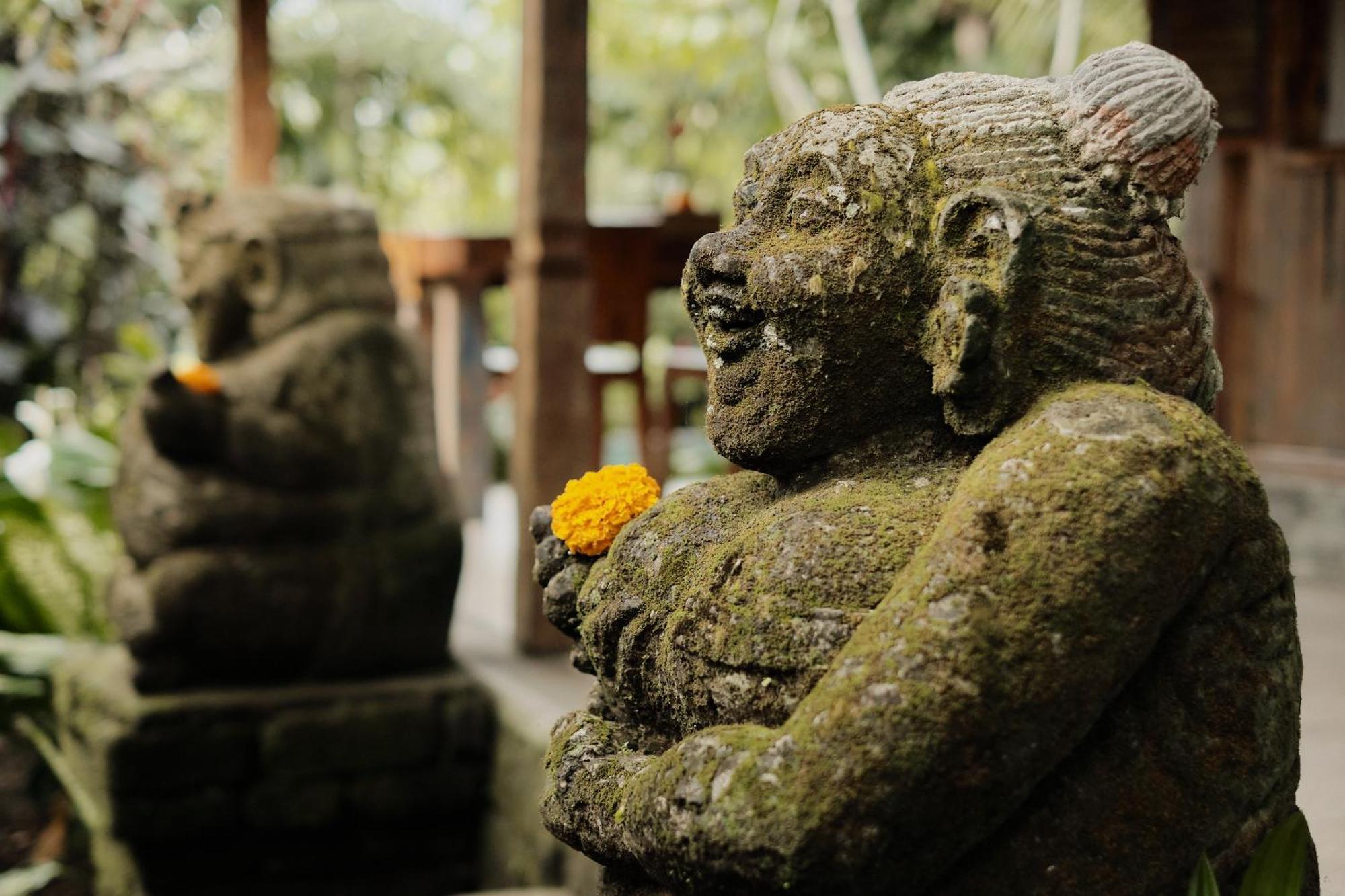Moringa Ubud (Bali)