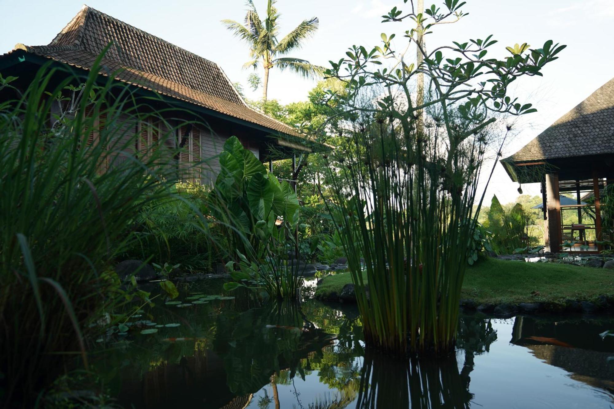 Amaru * Ubud (Bali)