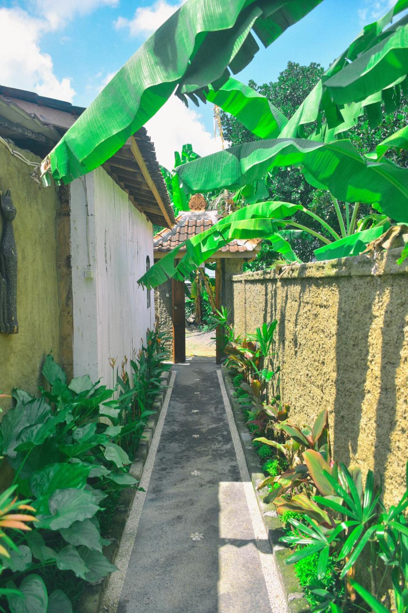 Homestay Ume Sita And Ubud (Bali)