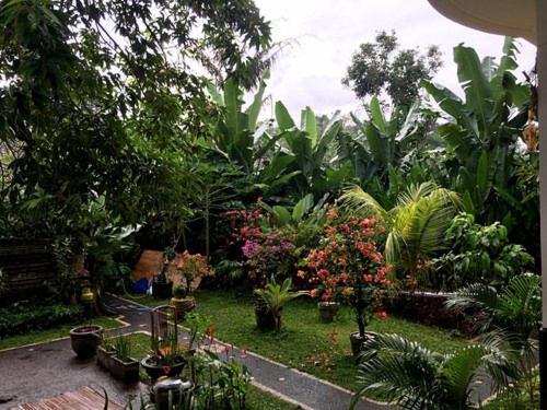 Guest house Pineapple House Ubud (Bali)