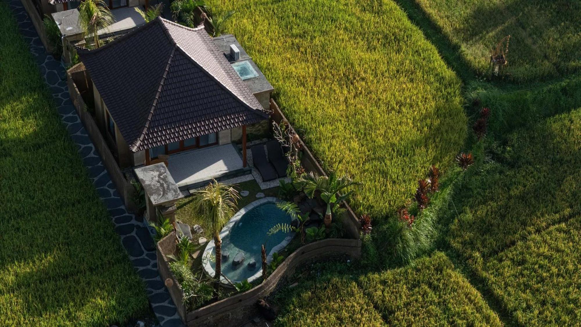Sawah Sebatu Vila *