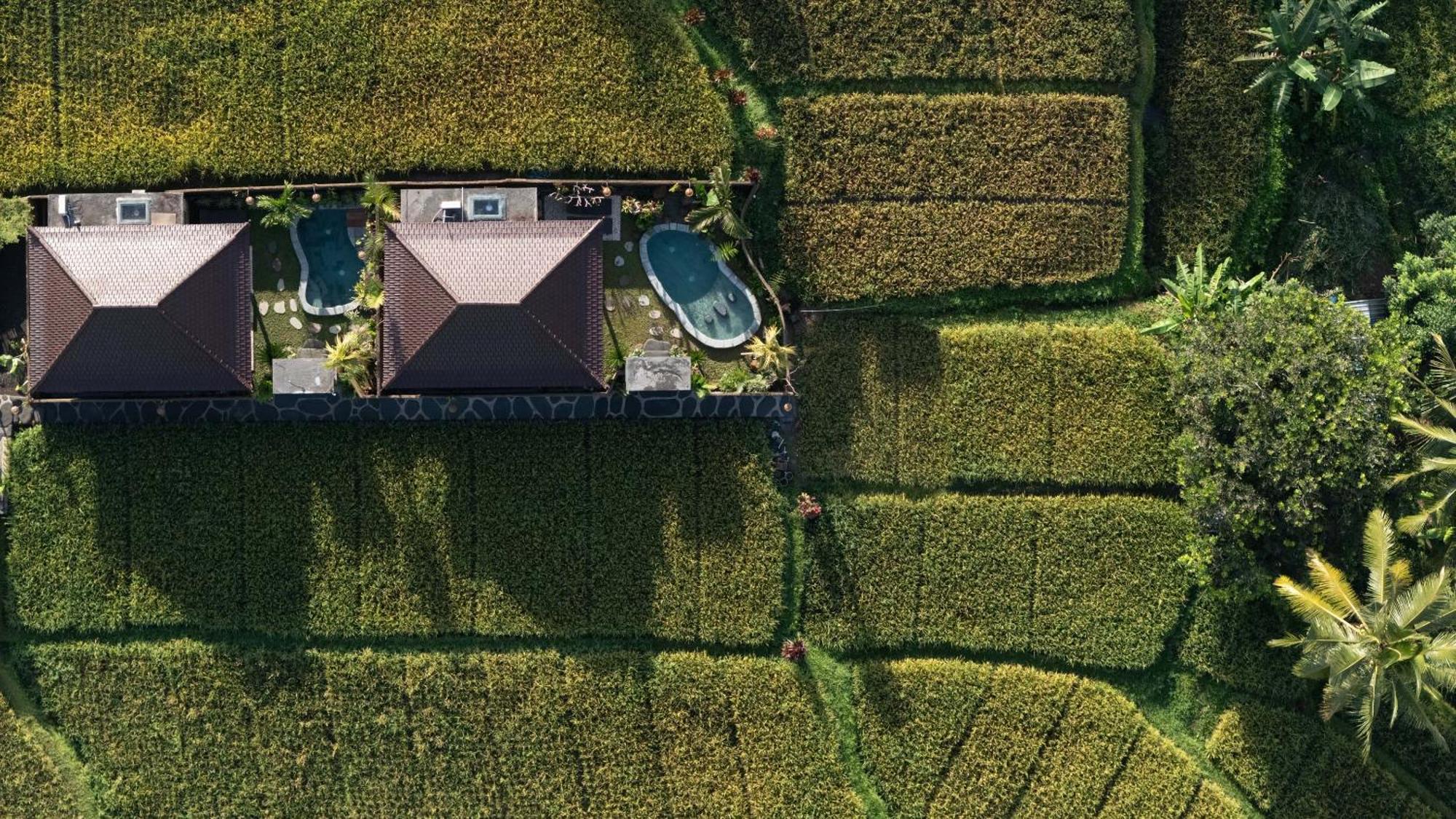 Sawah Sebatu Vila *