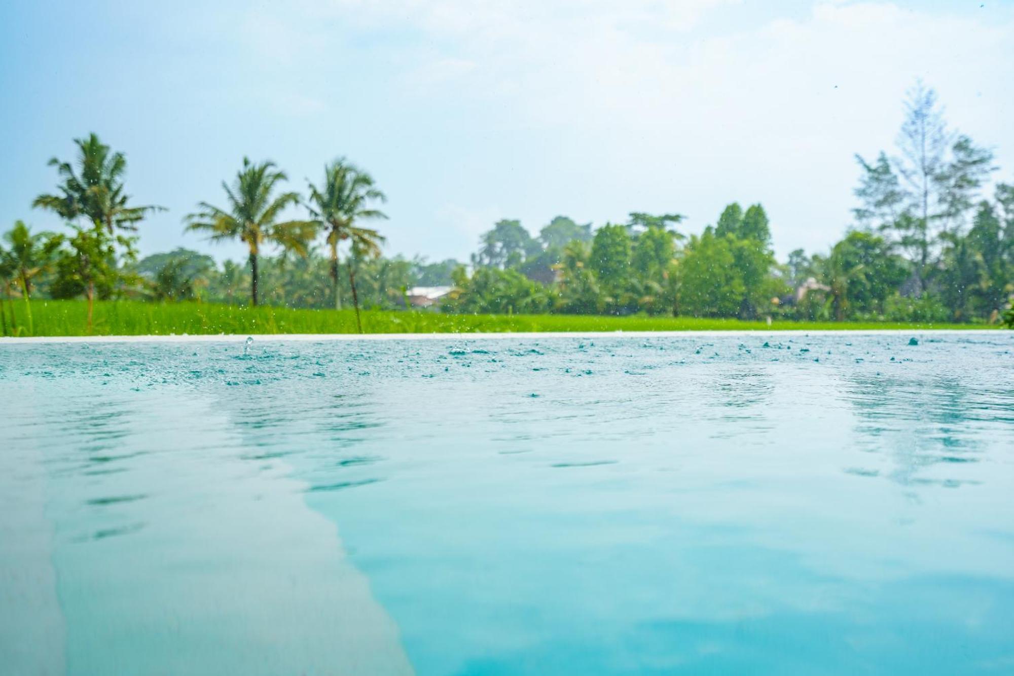 Flow Ii Villa