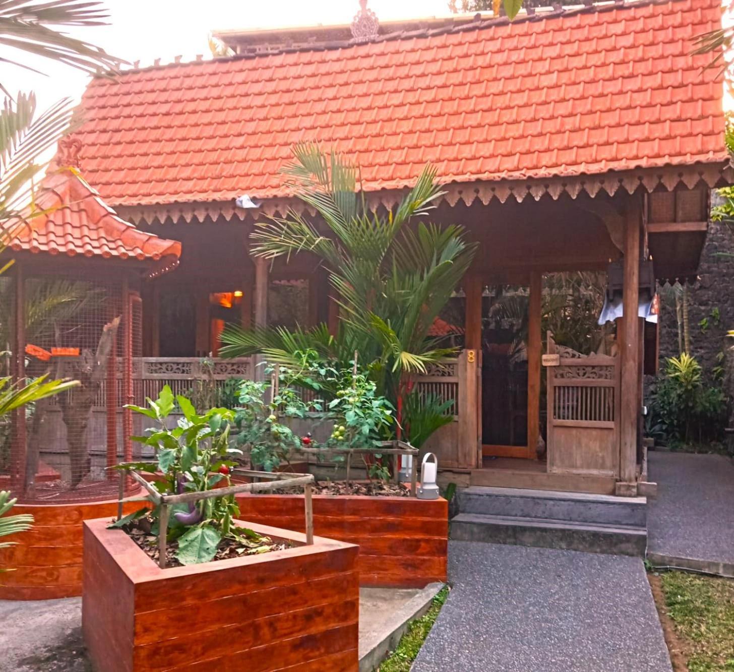 Villa Lily Lane
