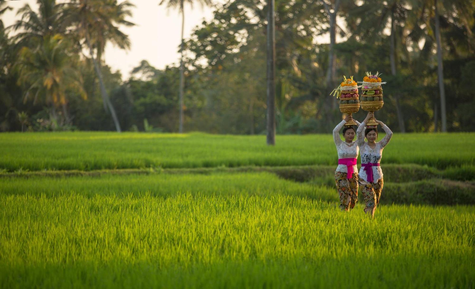Resort Dwaraka The Royal Ubud (Bali)