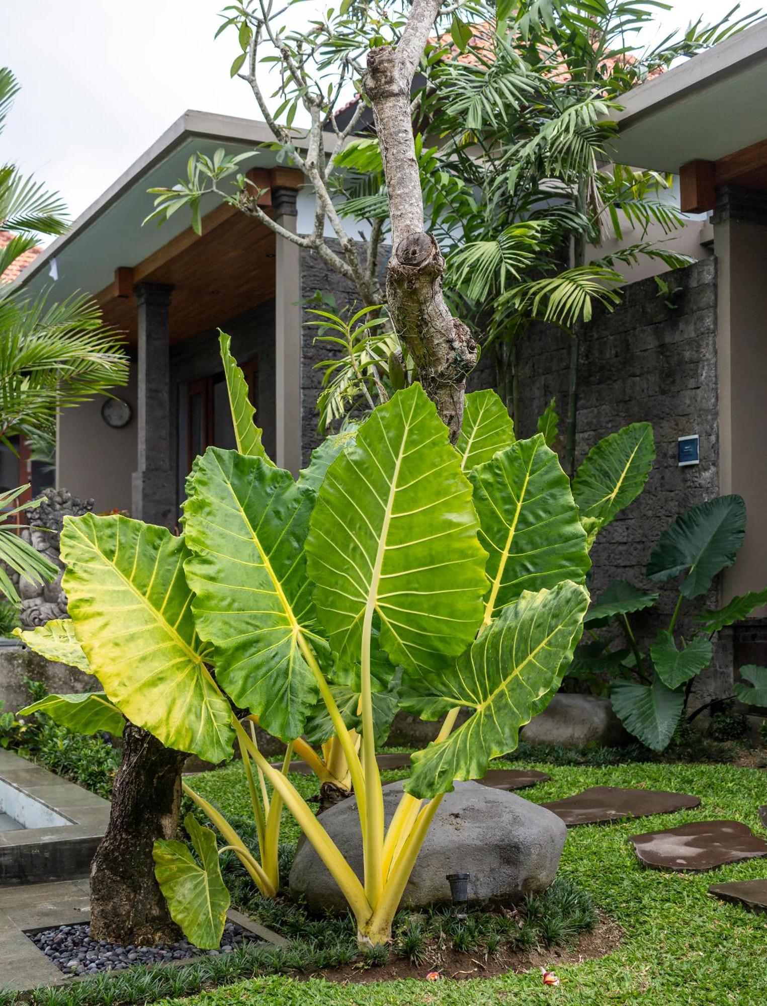 Royal Private Ubud (Bali)