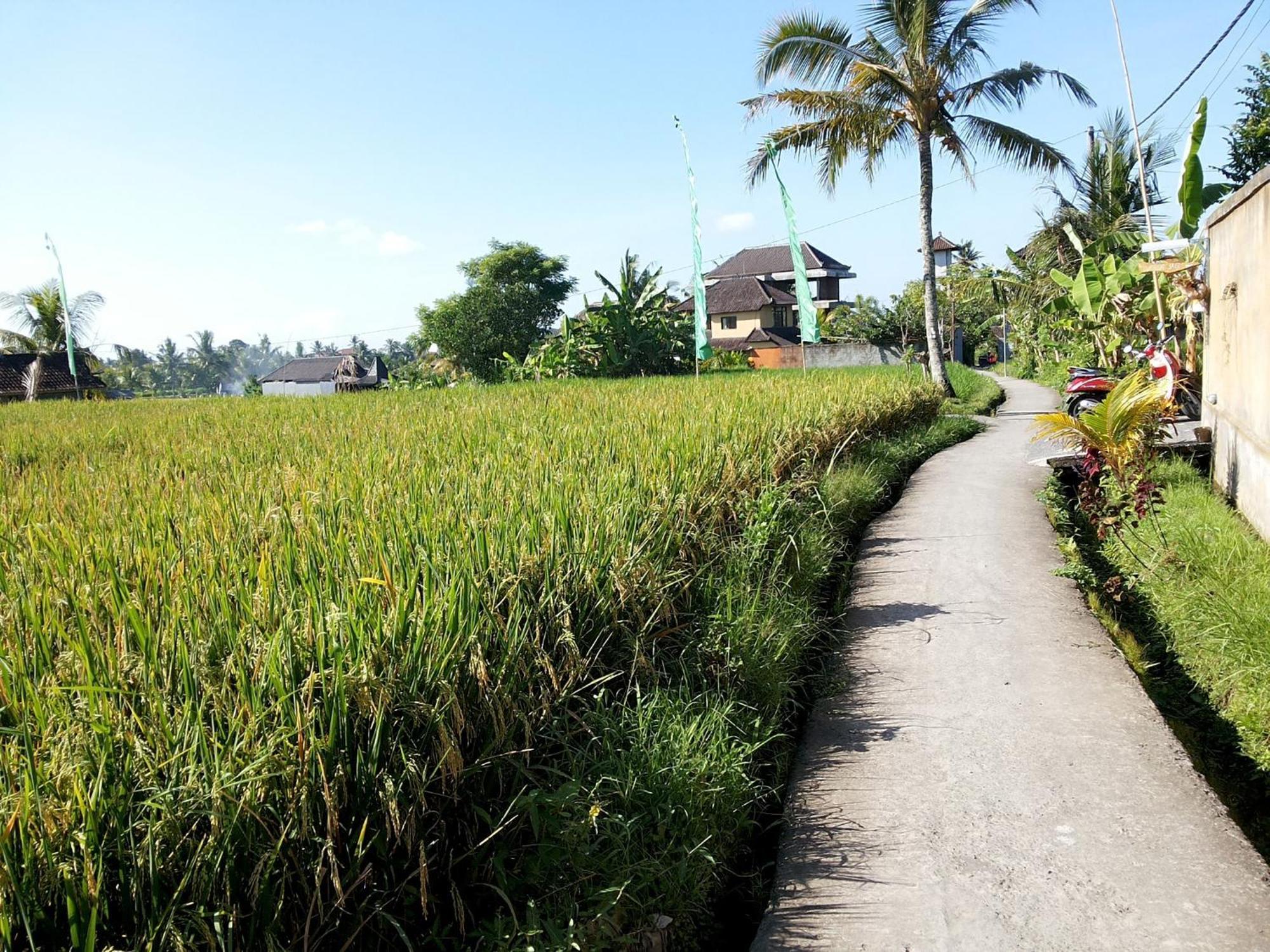 Jagi Villa Ubud (Bali)