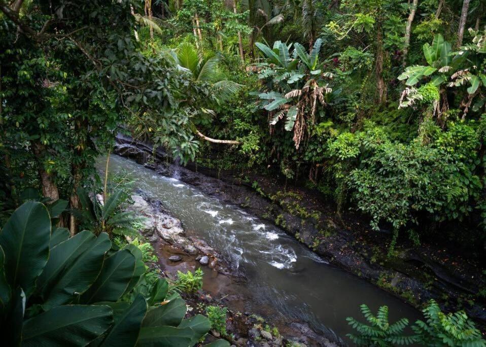 Zen River House, Secluded Tranquil Retreat In Nature Ubud