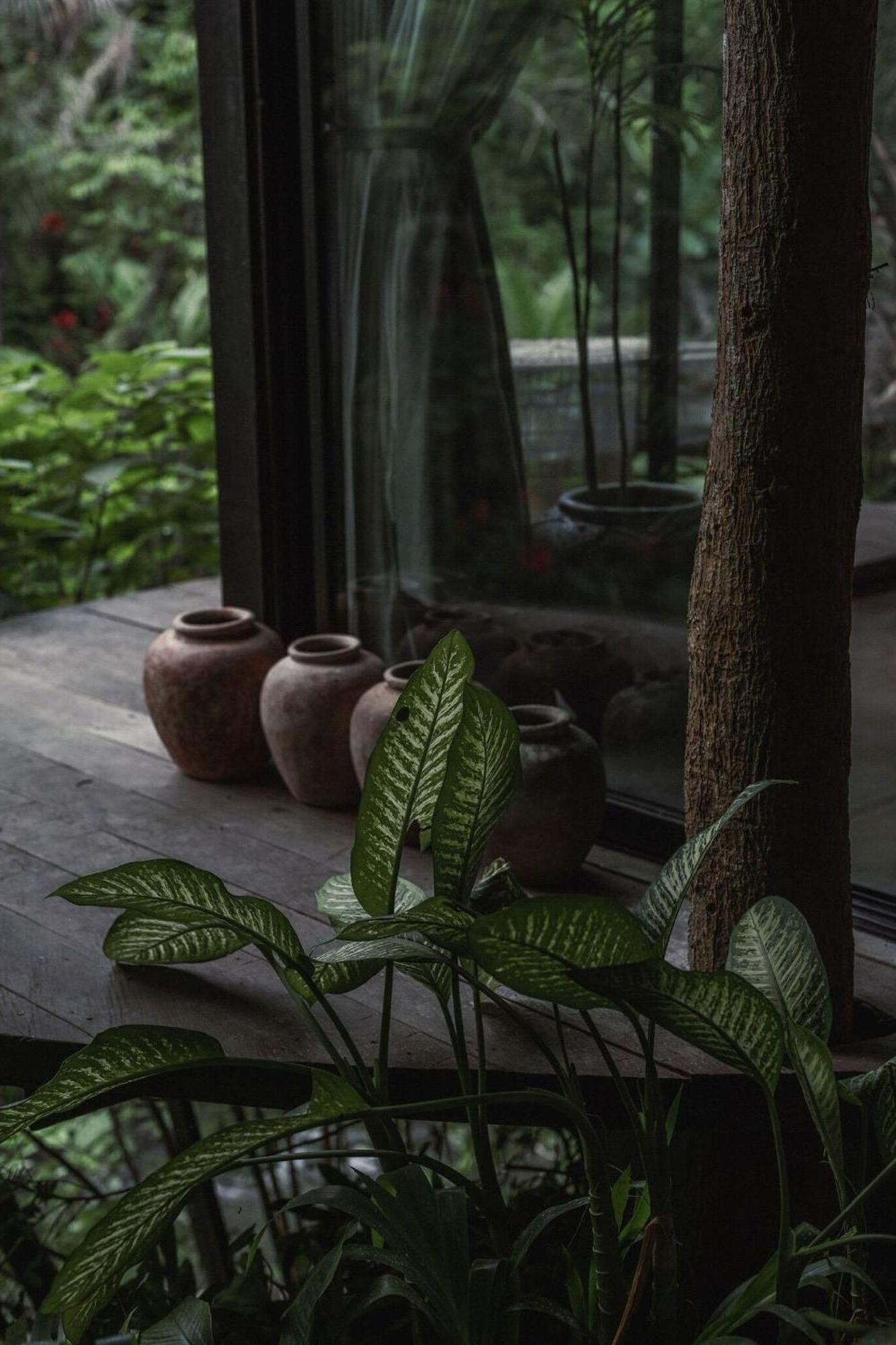 Zen River House, Secluded Tranquil Retreat In Nature