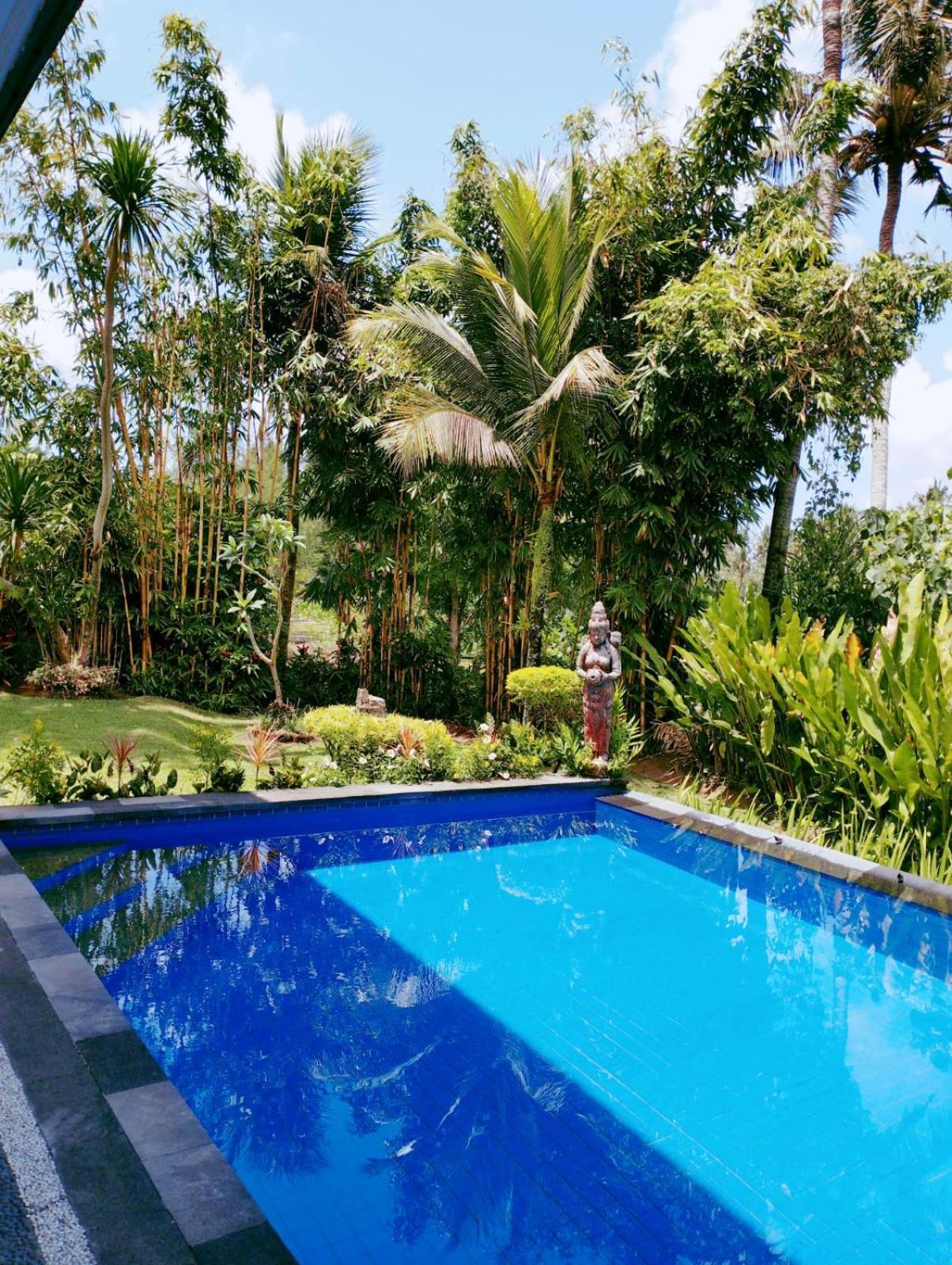Sunset Pandawa Homestay Ubud (Bali)