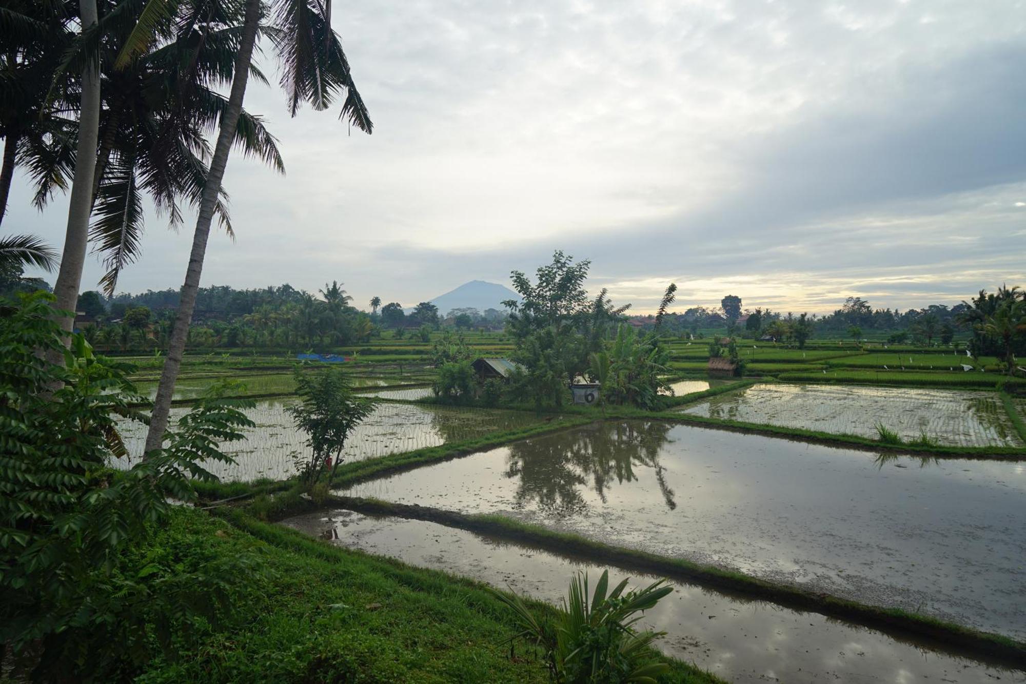 Santun Luxury Private Villas-chse Certified Villa