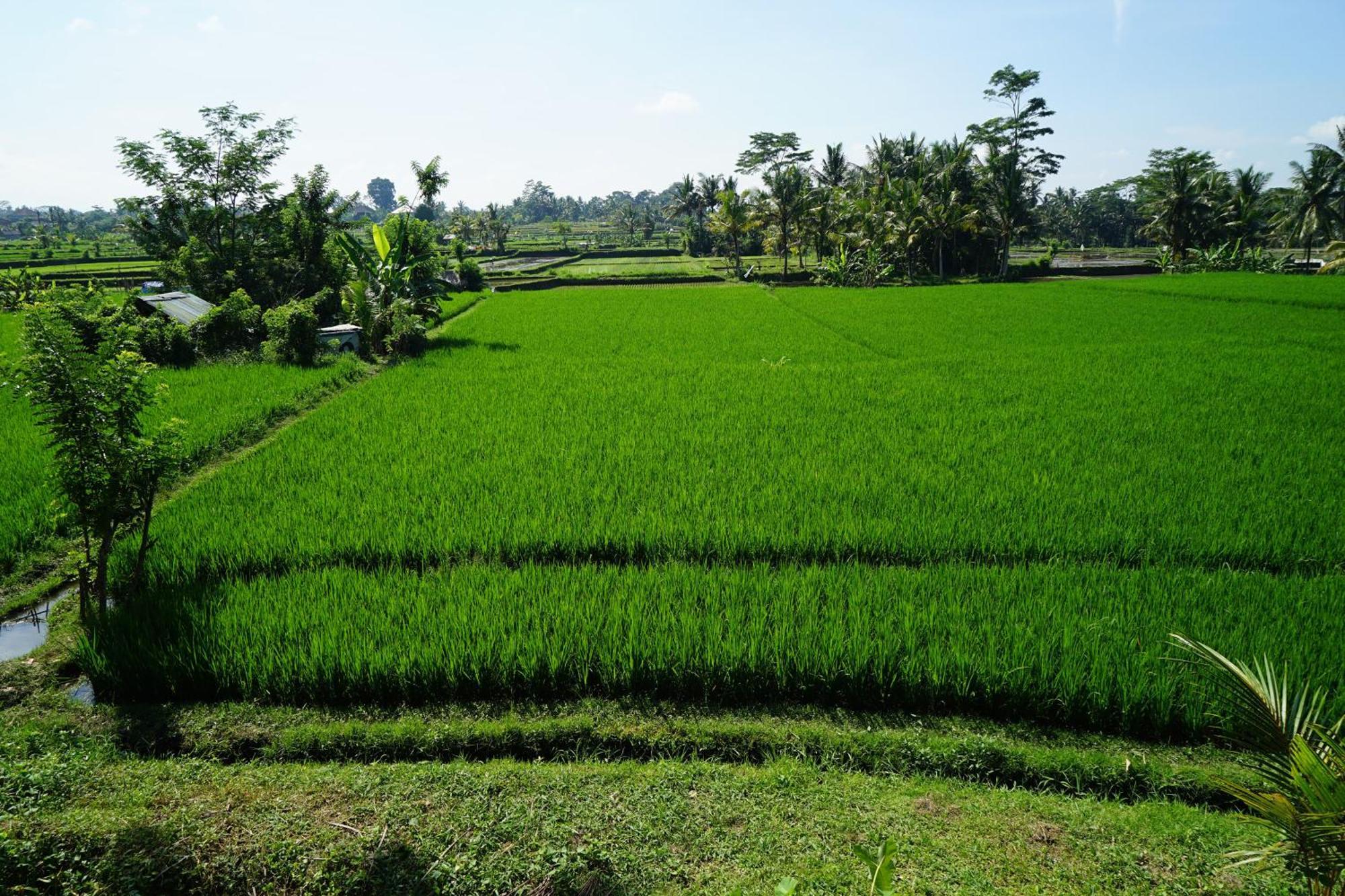 Santun Luxury Private Villas-chse Certified