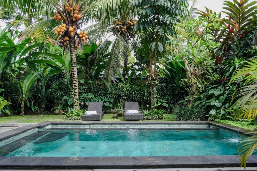 Bed & Breakfast Tebe Mesari