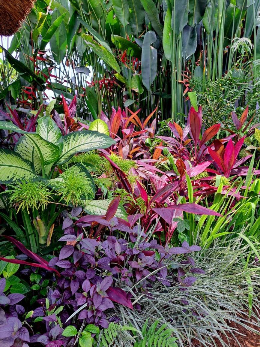 Maya Ubud, Peaceful Rice Field View Villa *