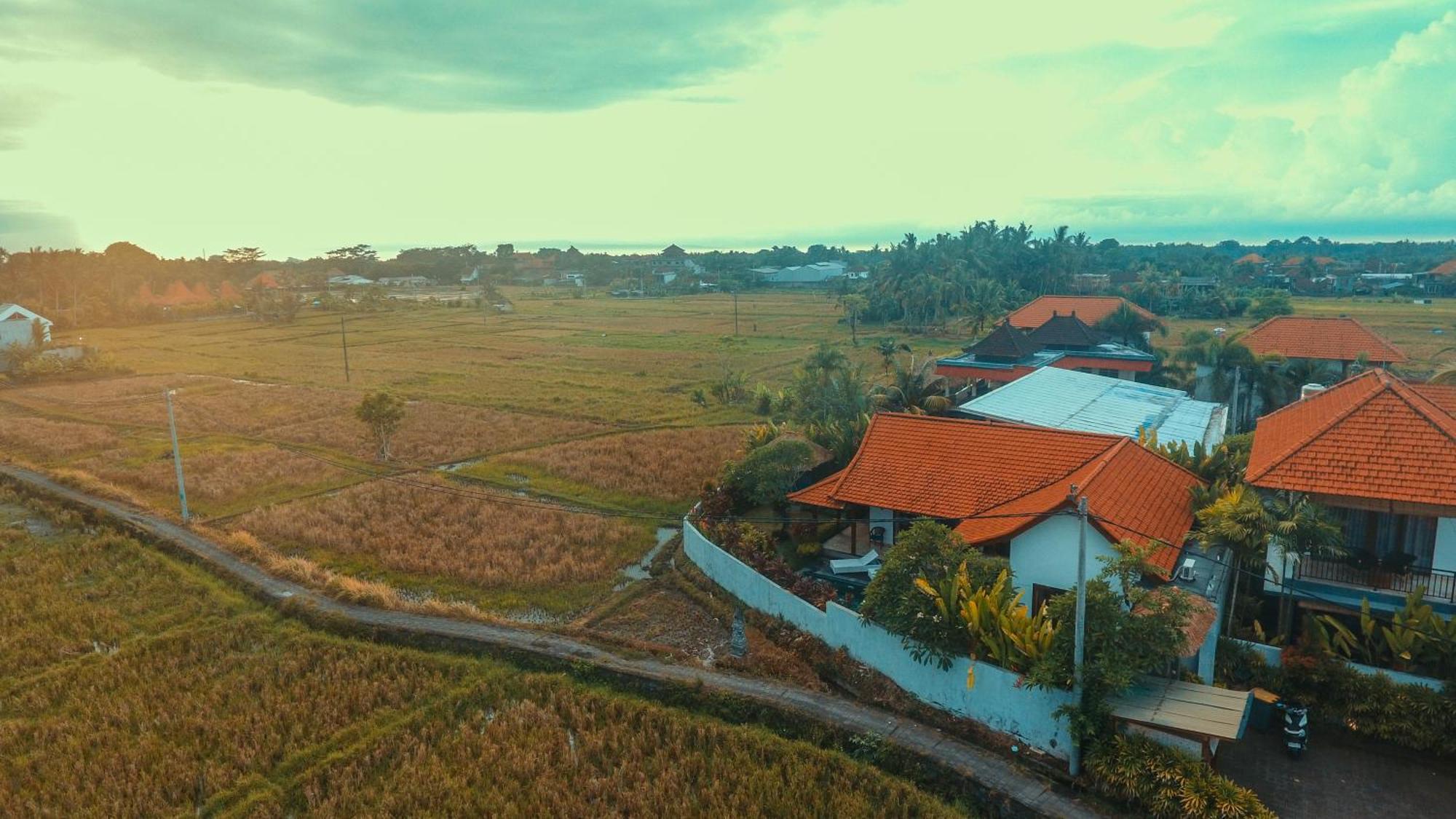 Villa Maya Ubud, Peaceful Rice Field View