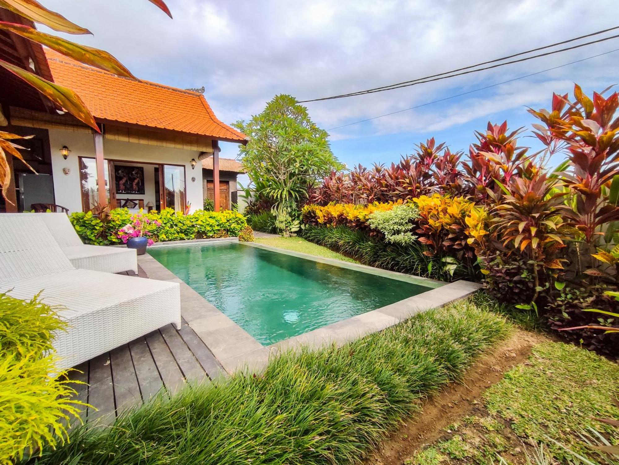 Maya Ubud, Peaceful Rice Field View *