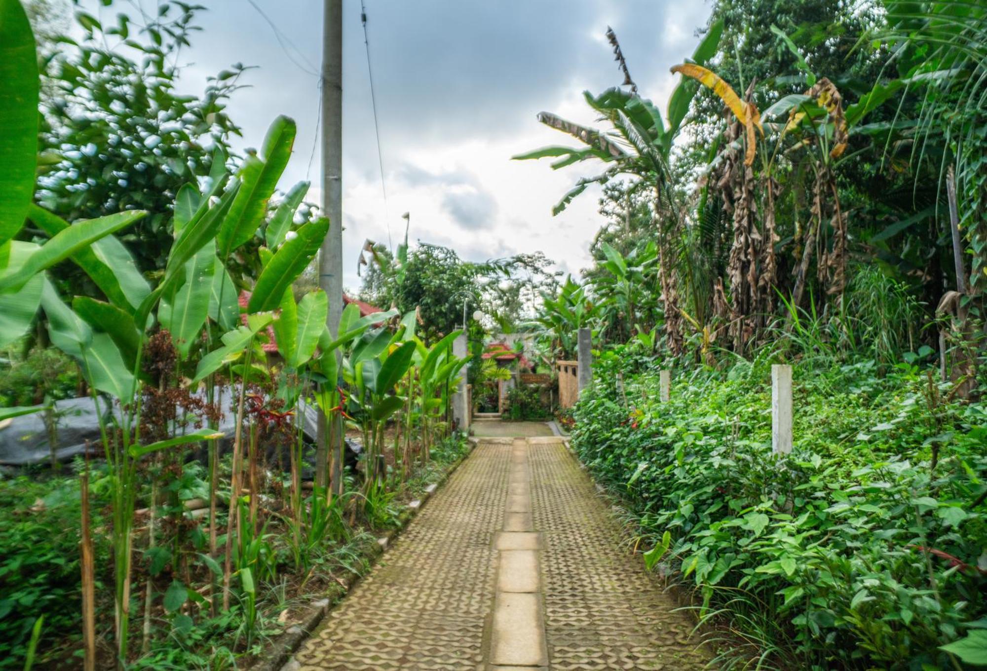 Prayatna Bed & Breakfast