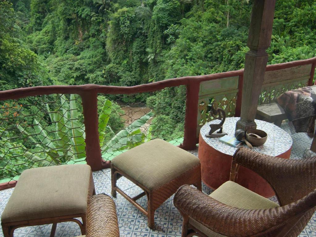Apartment Greenspiracy House *
