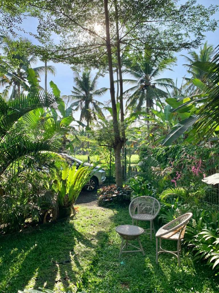 Auroville Private Homes With Garden And Kitchen Ubud