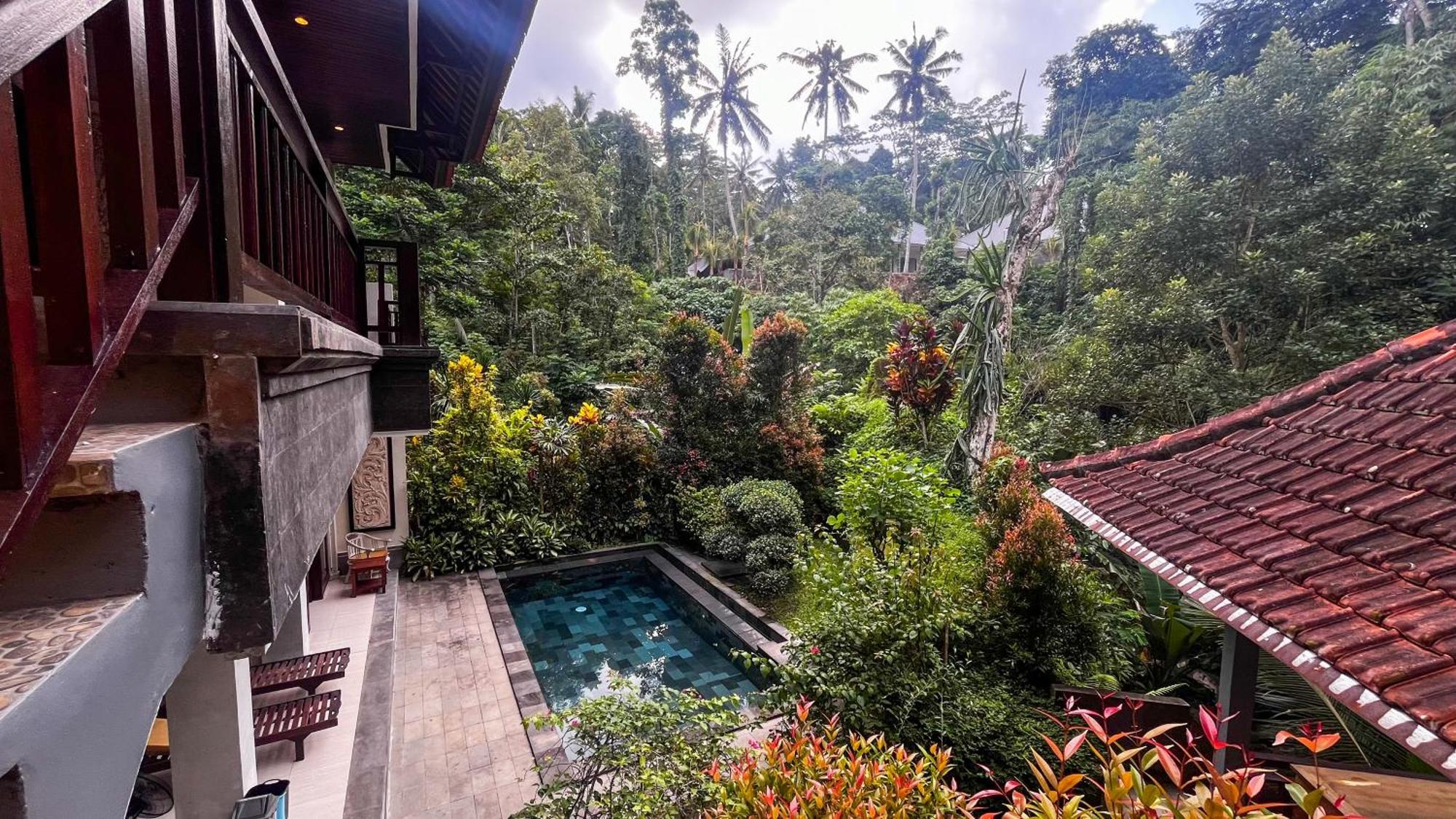 Holiday home Nadiya Jungle *