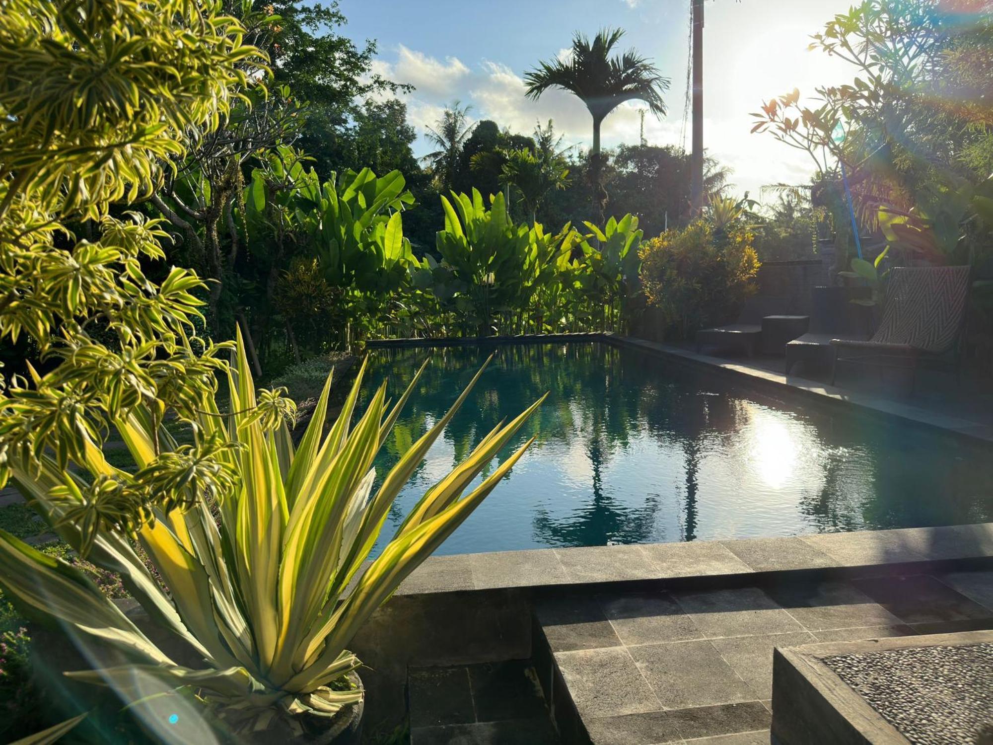 Munay Ferienhaus Ubud