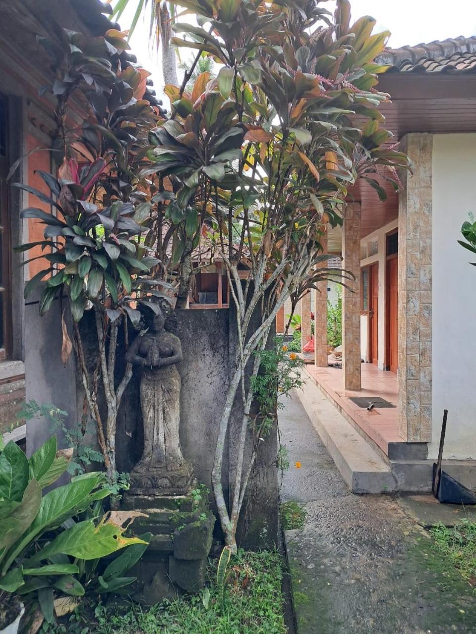 Wisuda * Ubud (Bali)
