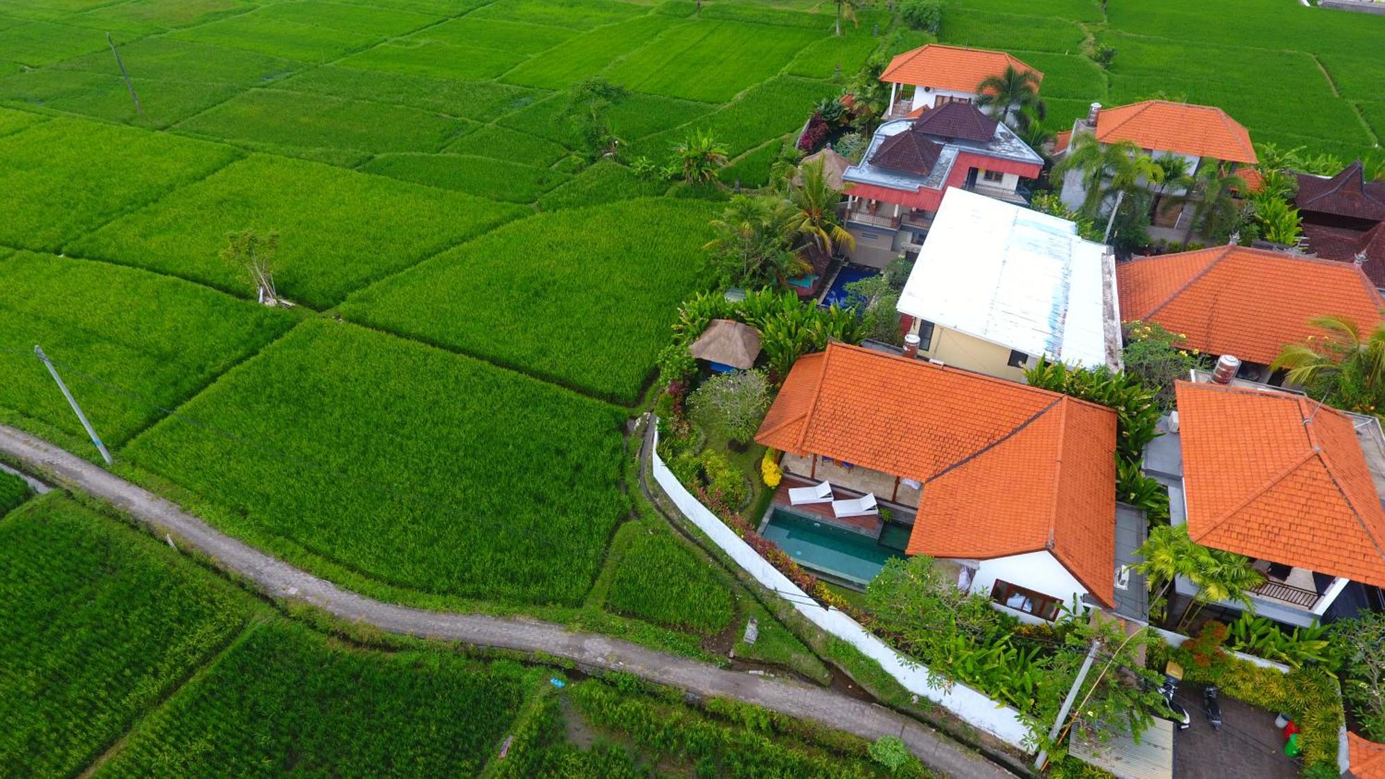 Villa Maya Ubud, Peaceful Rice Field View Ubud (Bali)