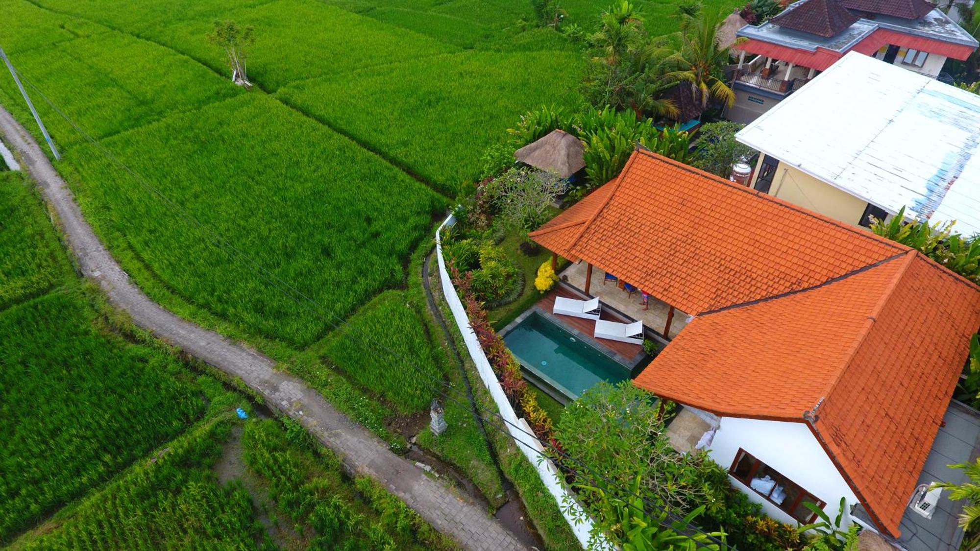 Villa Maya Ubud, Peaceful Rice Field View Ubud (Bali)