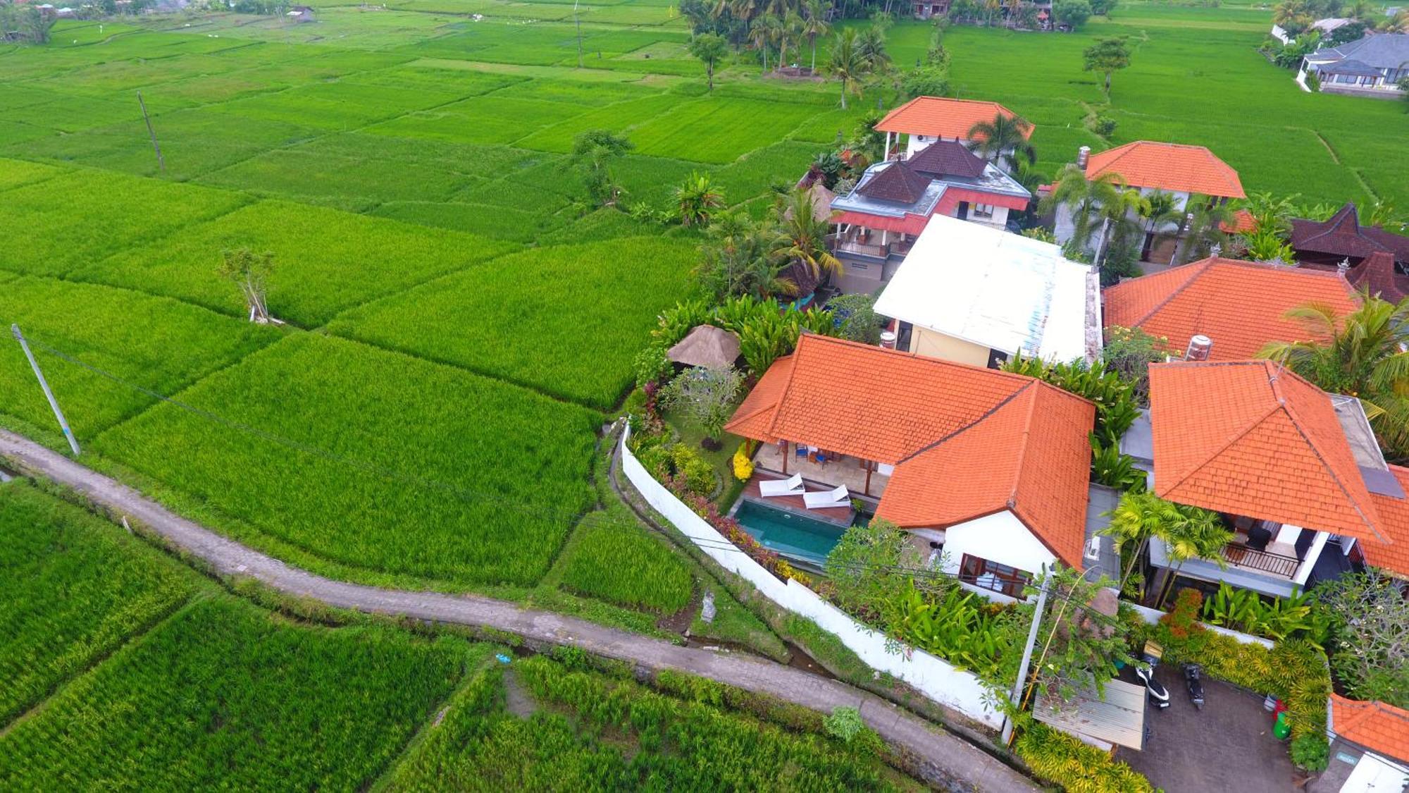 Maya Ubud, Peaceful Rice Field View Villa Ubud (Bali)