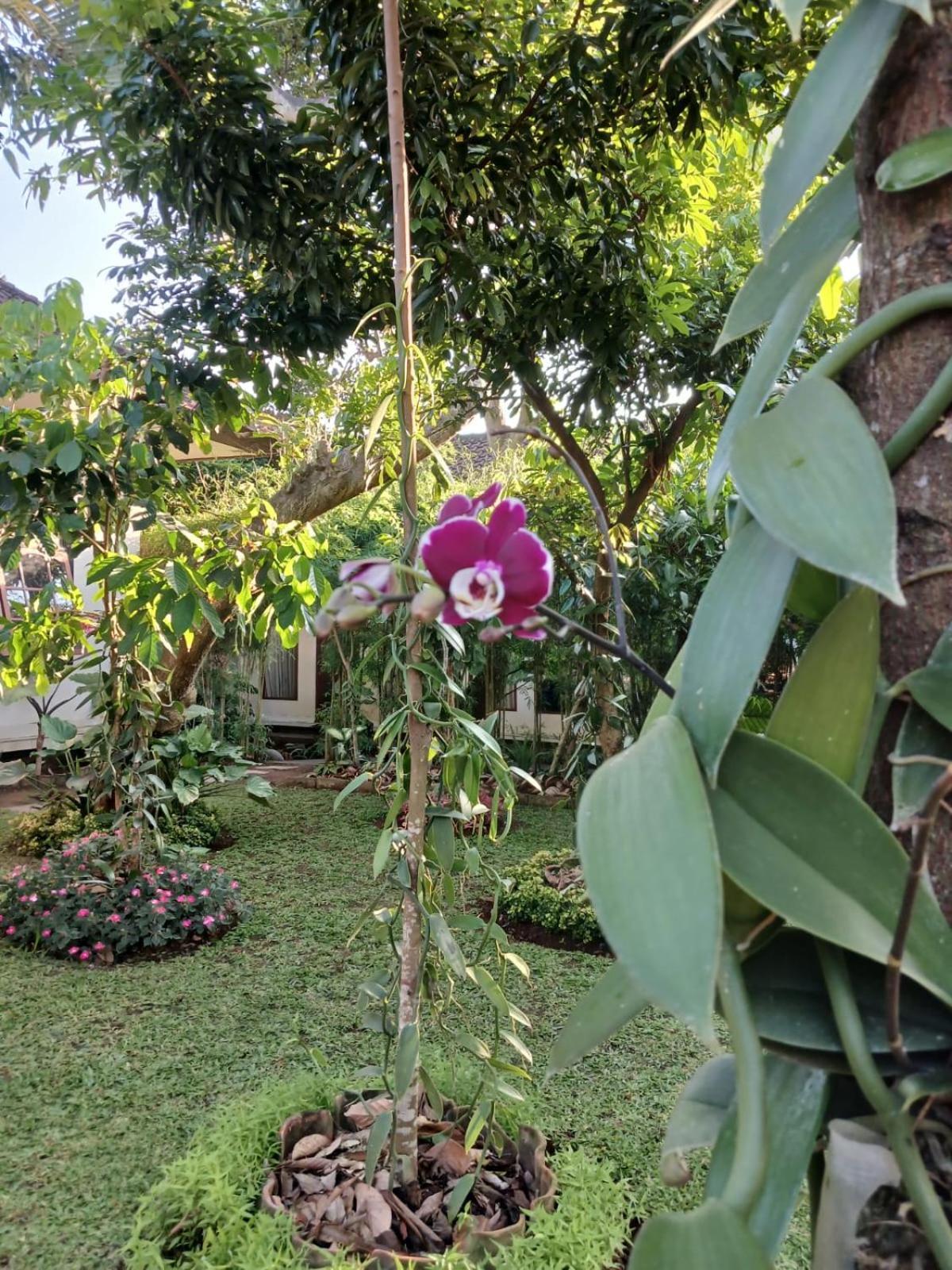 Puri Amartha Ubud (Bali)