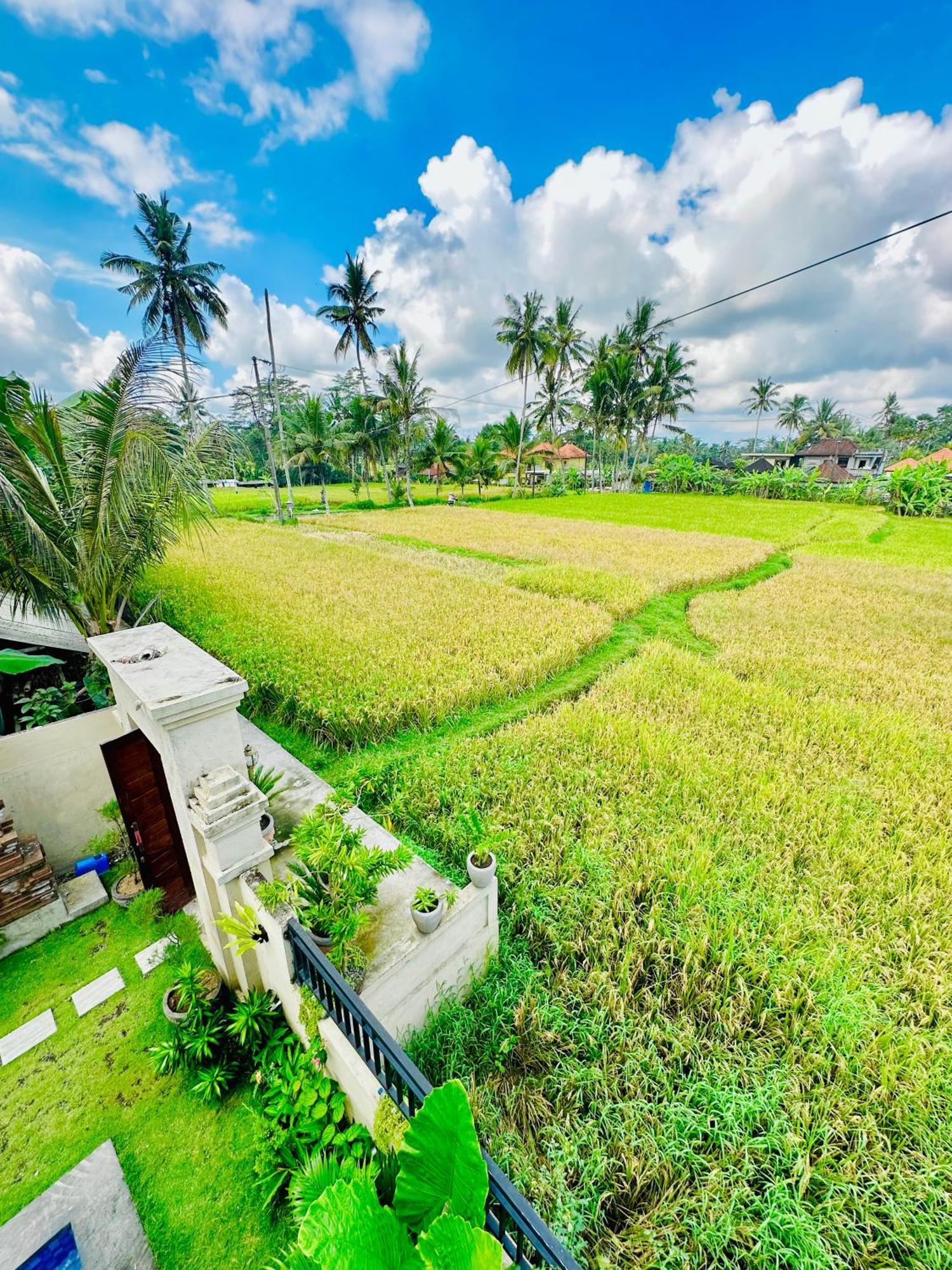 Akatara * Ubud (Bali)