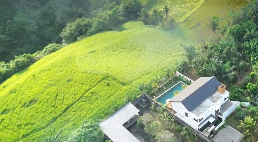 Nakula * Ubud (Bali)