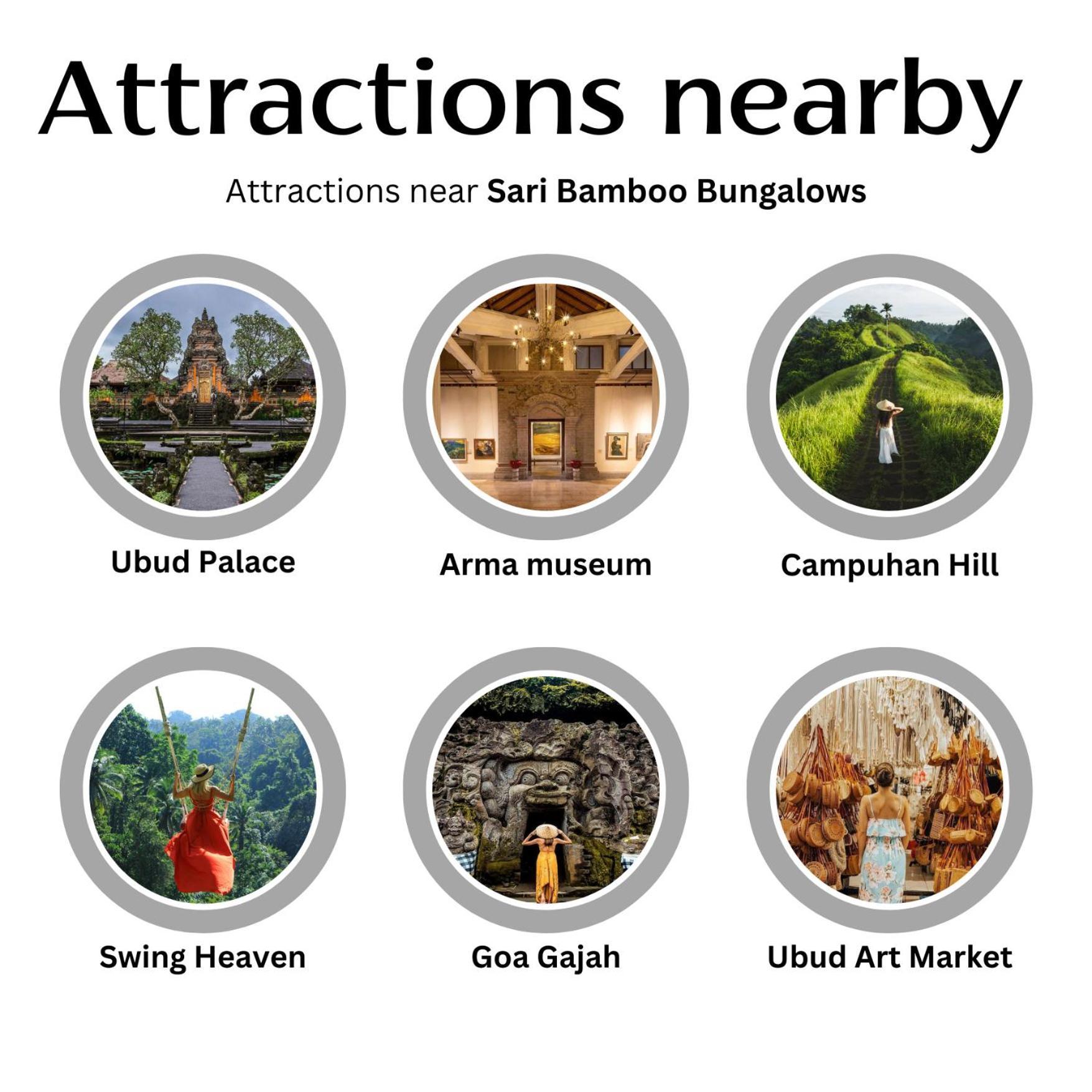 Sari Bamboo *