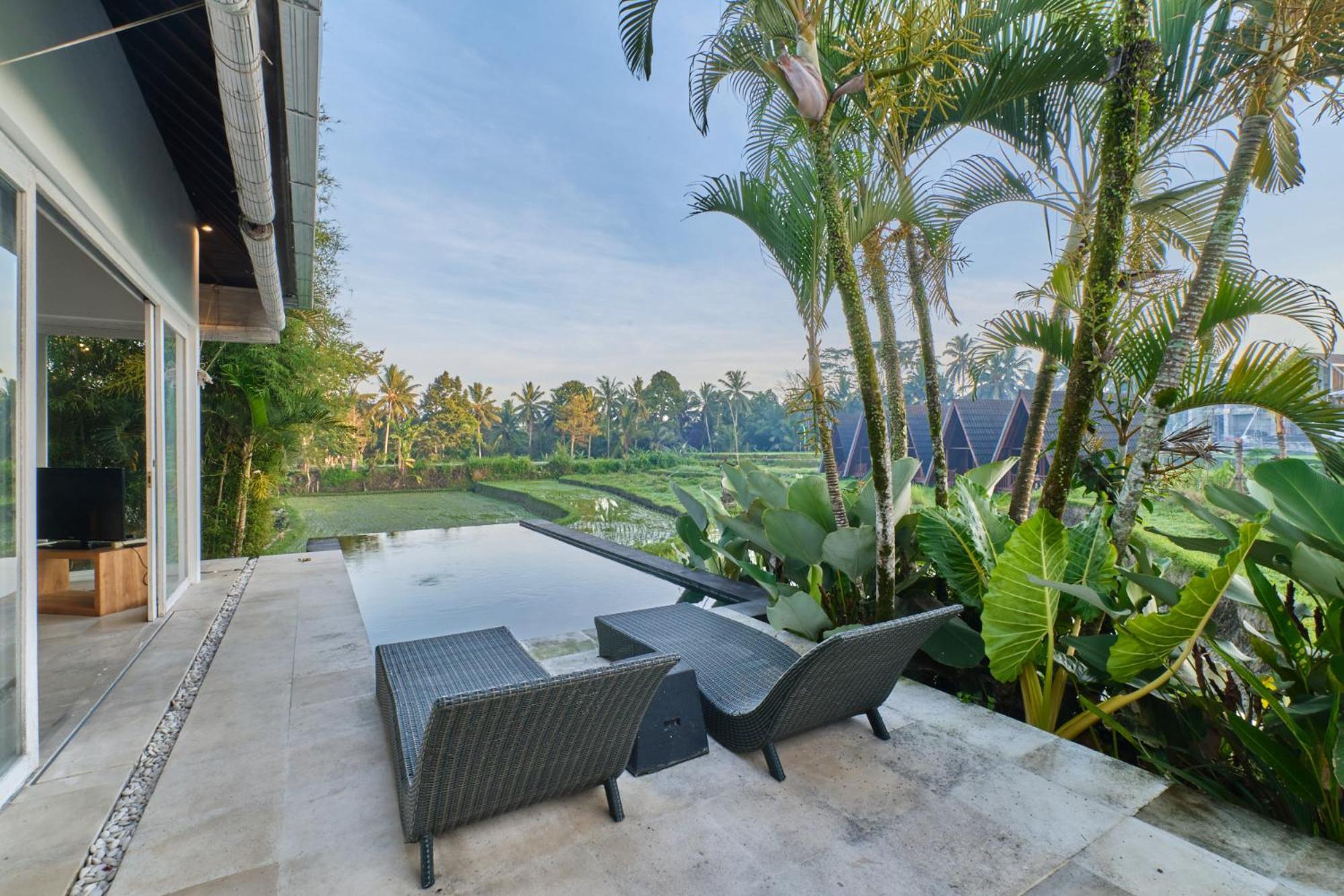 Koa * Ubud (Bali)