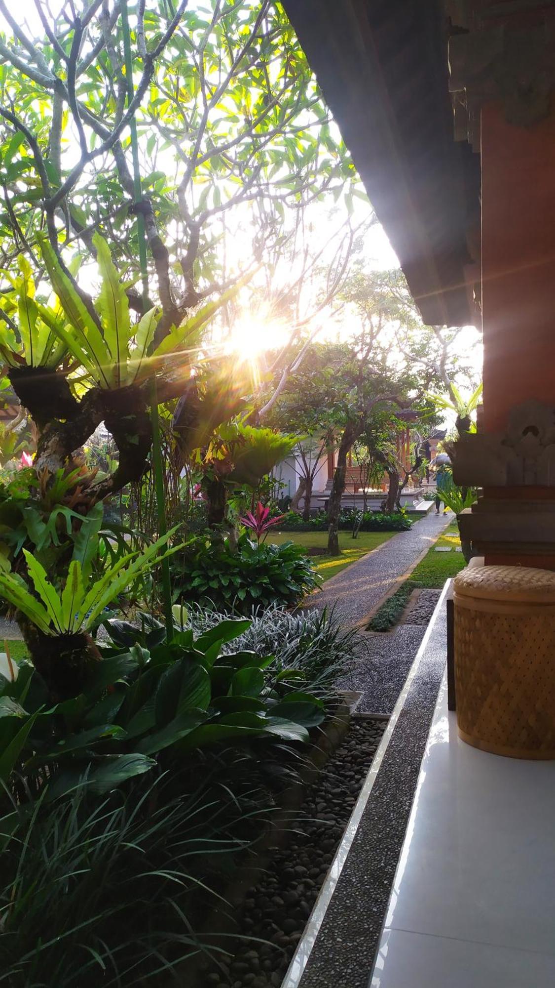 Wisma tamu Umah Alas Ubud (Bali)