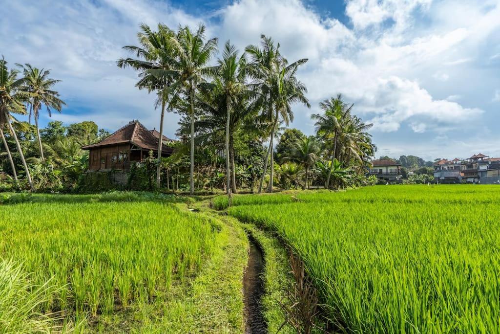 Family - 2 Bedrooms - Pool - Garden - Rice Field & Jungle Views